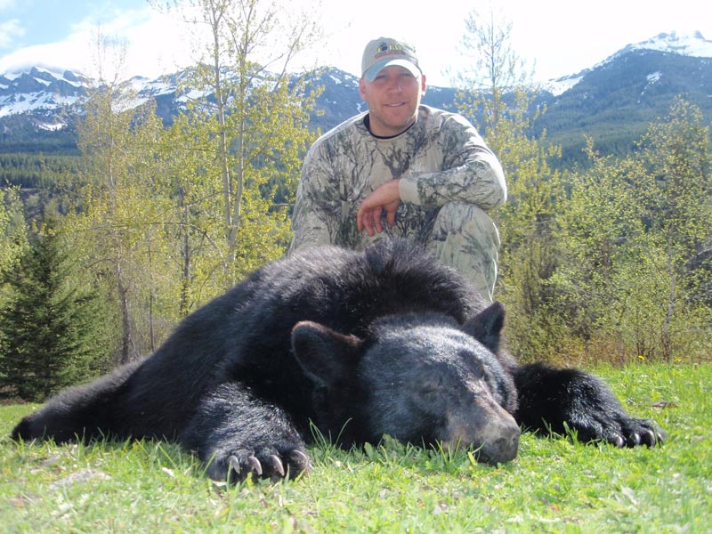 big black bear killed with bow in British Columbia