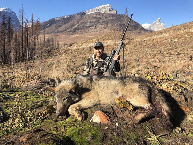 2018-British-Columbia-Wolf-Hunt