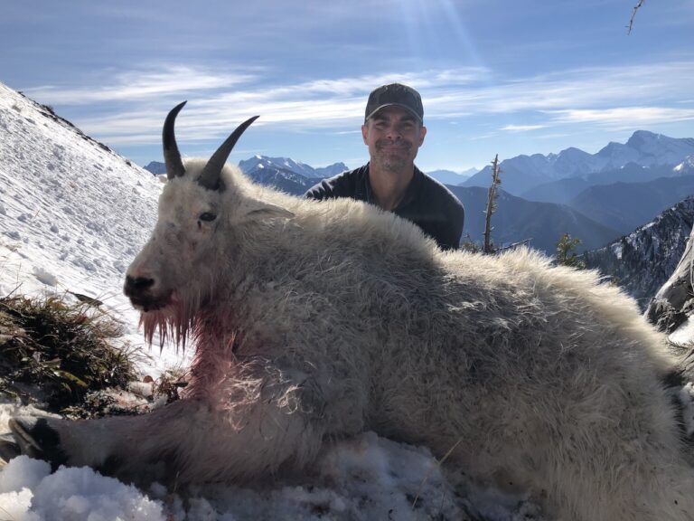 British-Columbia-2018-MTN-Goat
