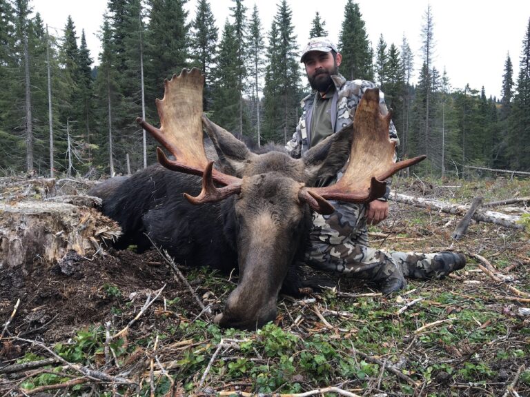 British-Columbia-Moose-Hunt