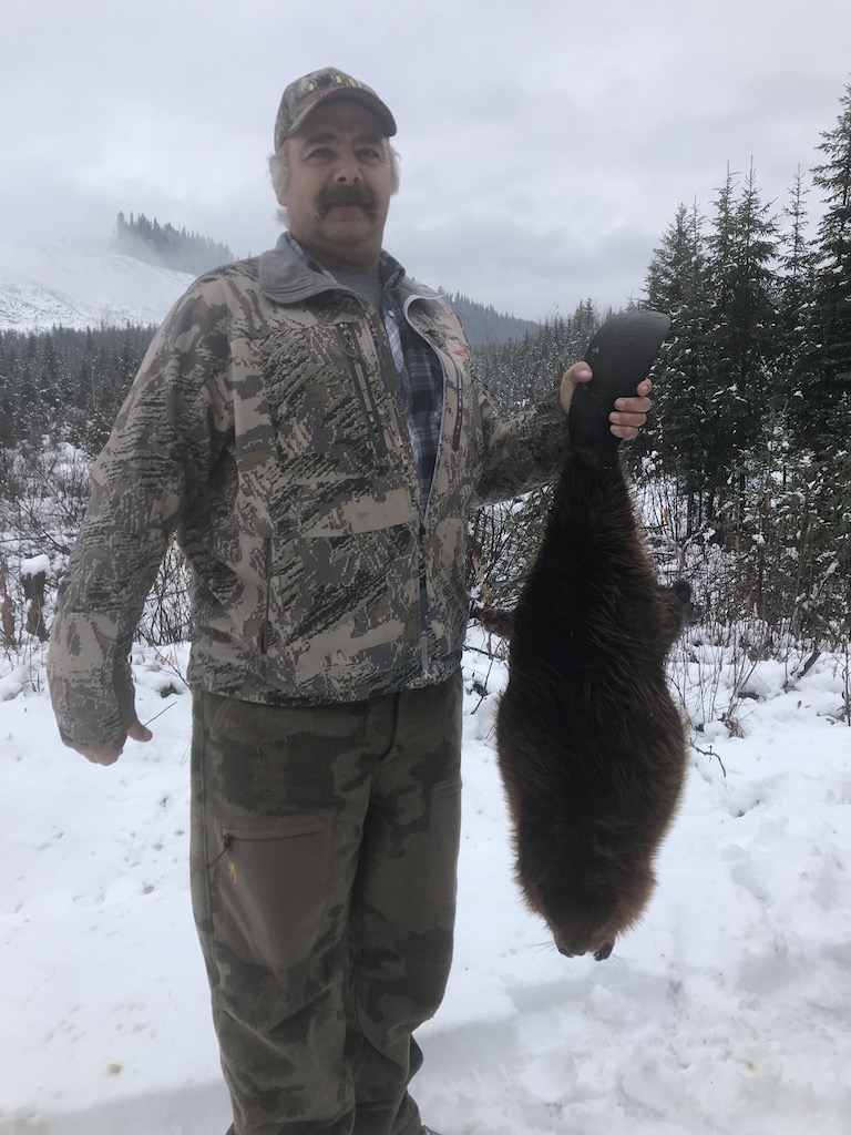 British-Columbia-beaver-Trapping