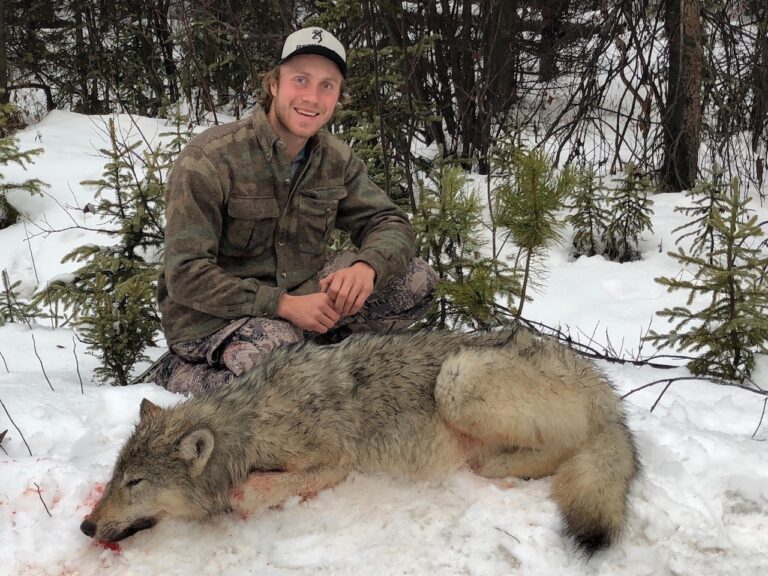 British-Columbia-wolf-hunting