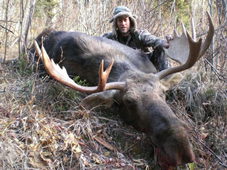 Guided-Moose-Hunt-12