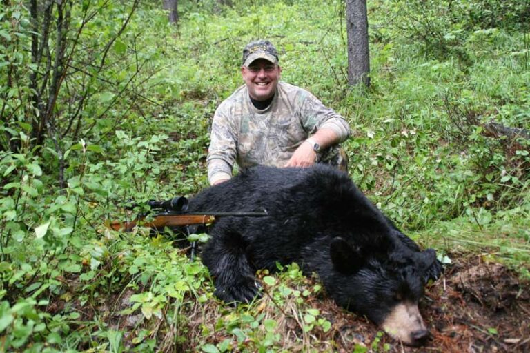 Guided-rifle-Black-Bear-hunt
