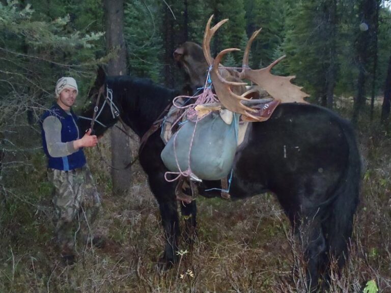 Horse-back-shiras-moose-hunt