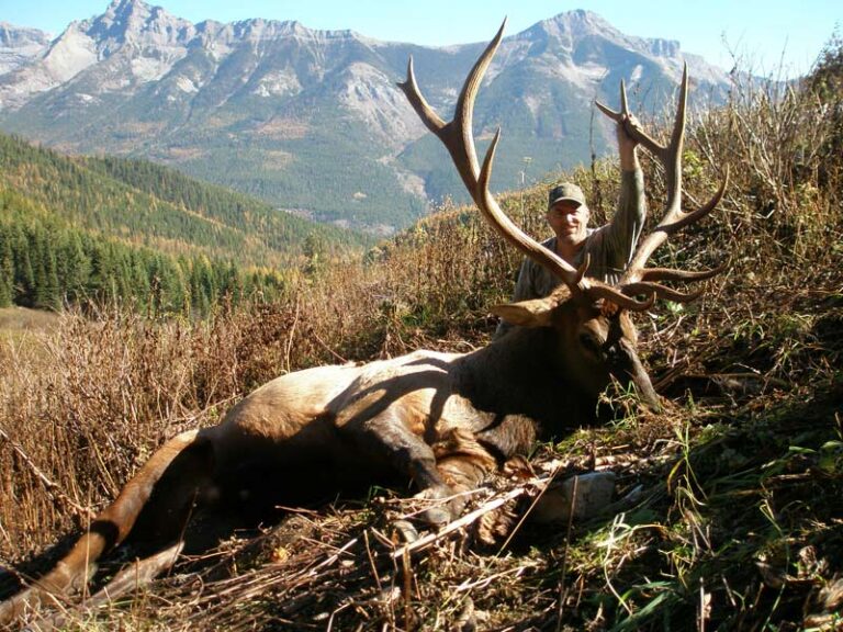 Mike-Elk-hunt-British-Columbia