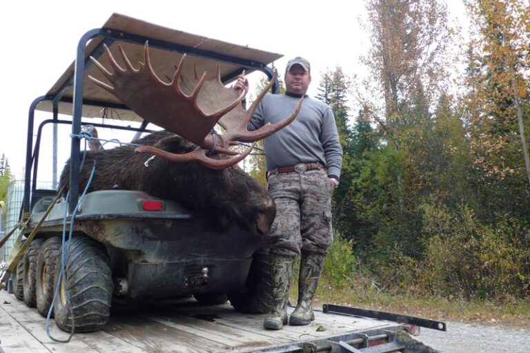 big-moose-in-Argo