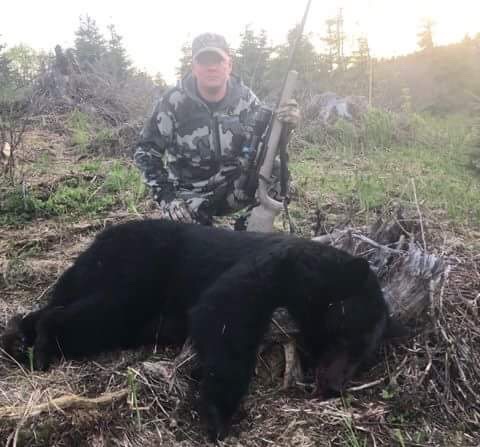 black-Bear-2018-17