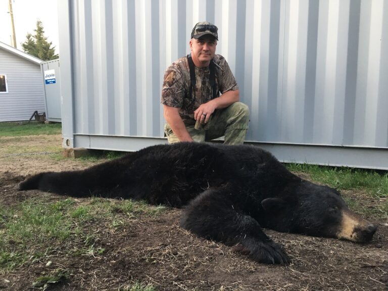 black-Bear-2018-25