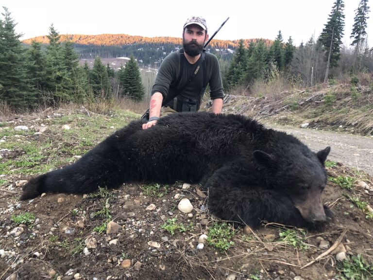 black-Bear-2018-28