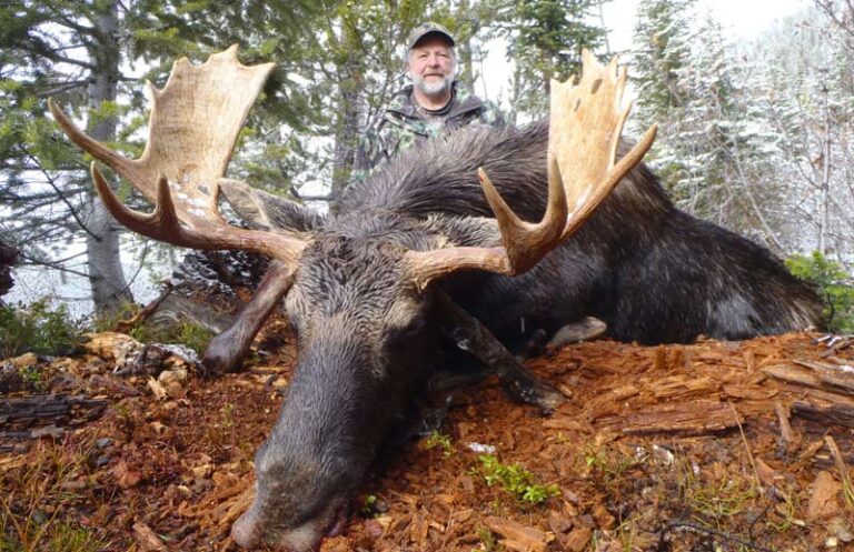 canadian-shiras-moose-hunt