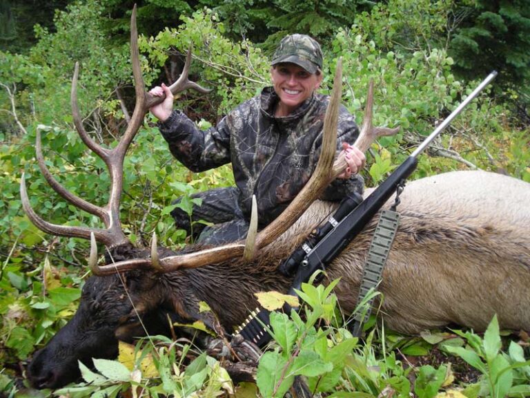 marys-big-British-Columbia-elk