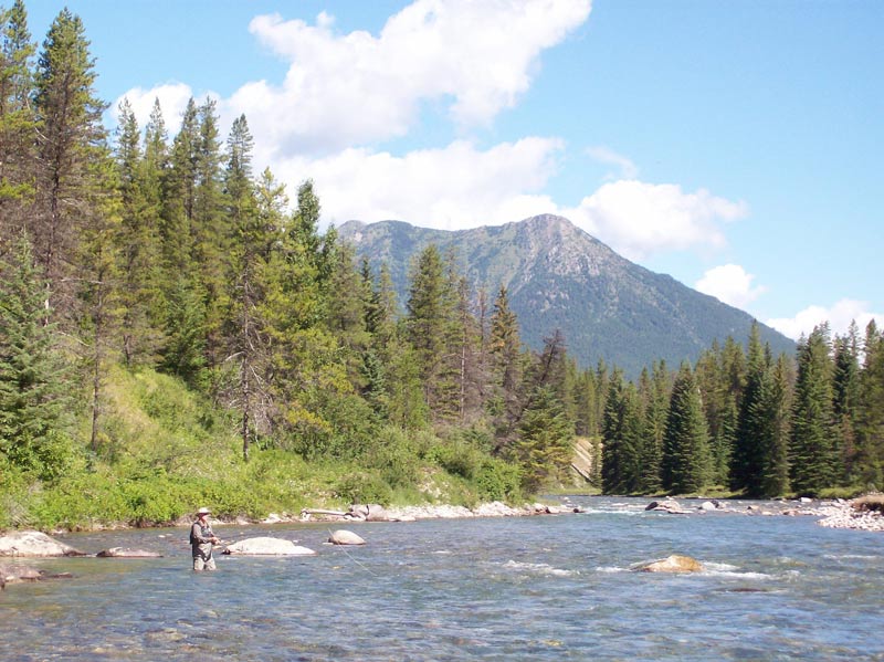 Best Fly Fishing trips in British Columbia