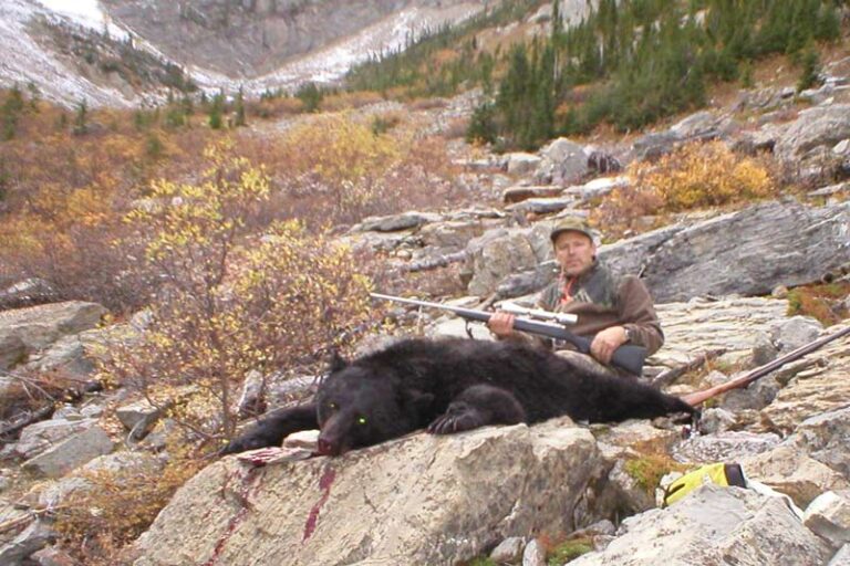 my-mountain-black-bear-hunt