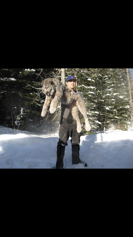 2018-British-Columbia-Lynx-hunt-4