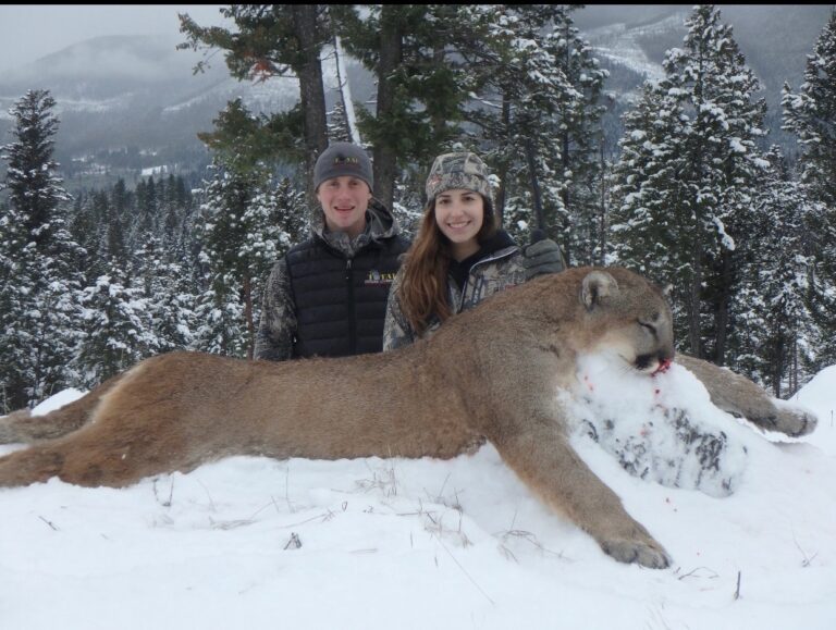 2018-MTN-lion-BC