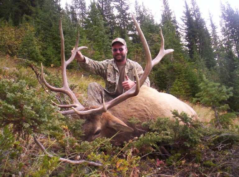 BRITIS-BC-elk-hunt