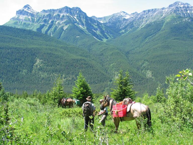 Beautiful-mountain-scene-with-horses