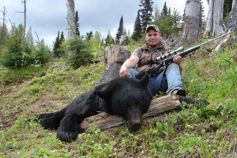 Big-BC-Black-Bear-pic