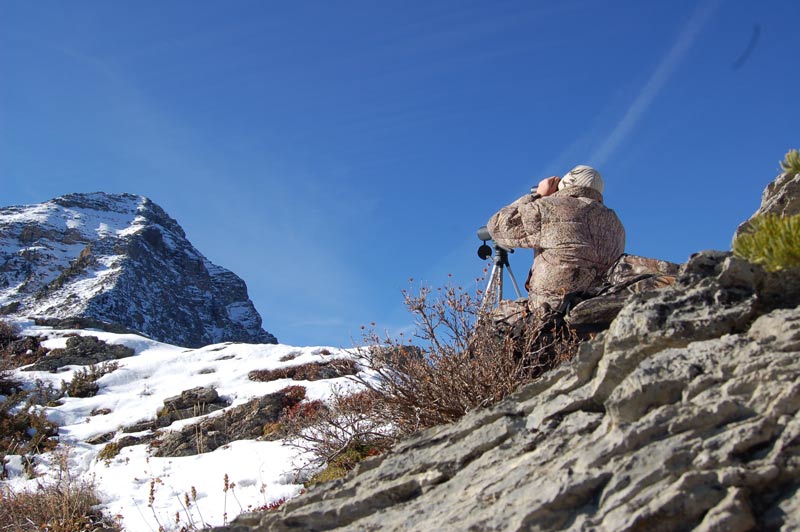 Big-game-hunting-in-Kootenay-mountains