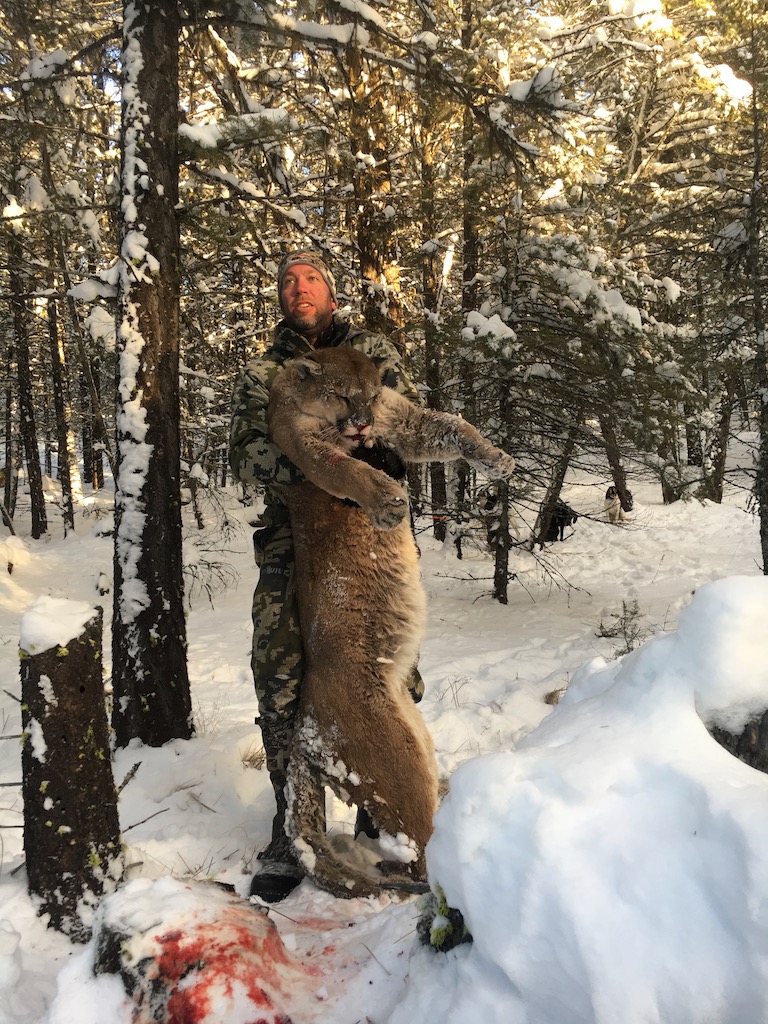 British-Columbia-Canada-Mountain-Lion-Hunting