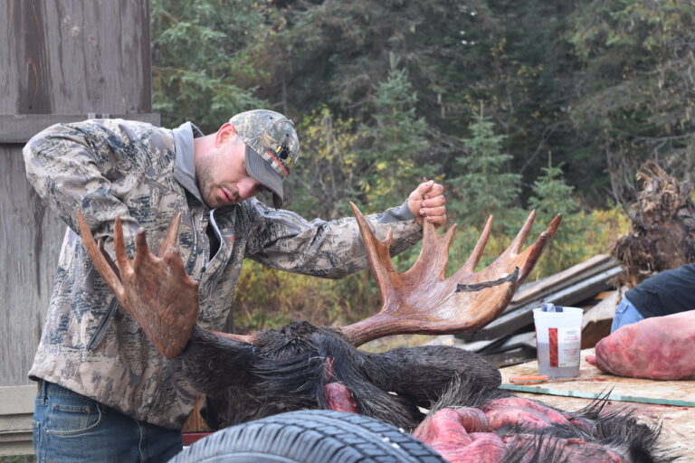 British-Columbia-Moose-Hunter-measuring-moose-rack