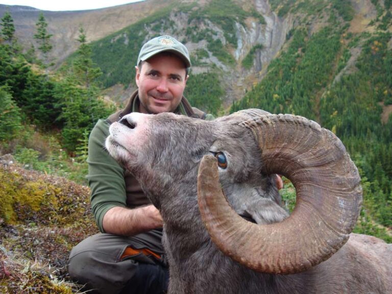 Client-with-big-horn-sheep