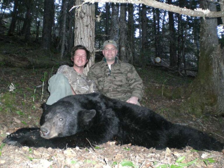 Guided-Black-Bear-33