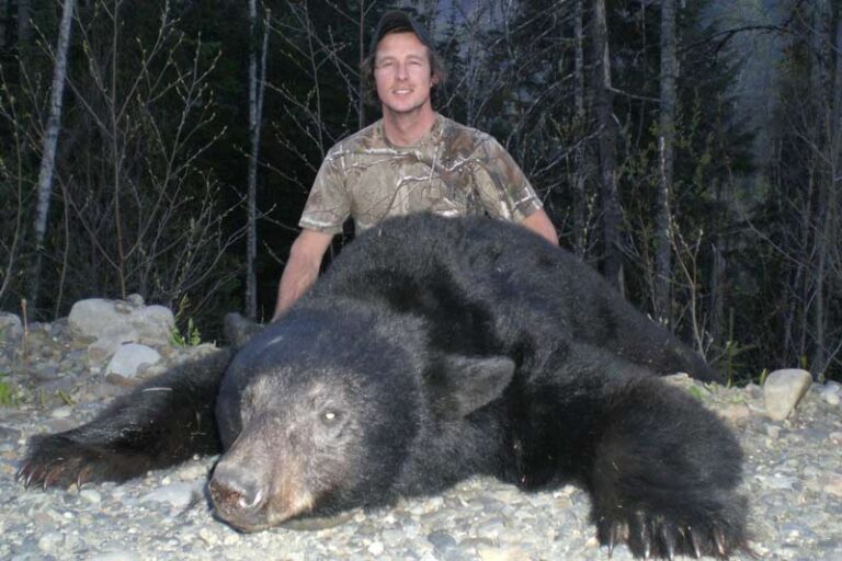 Guided-Black-Bear-BC