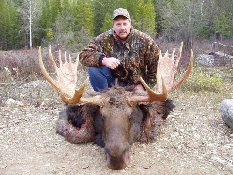 Guided-Shiras-Moose-Hunt-4