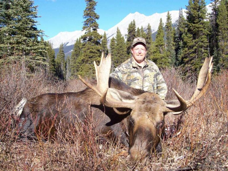 Guided-shiras-Moose-Hunt-6