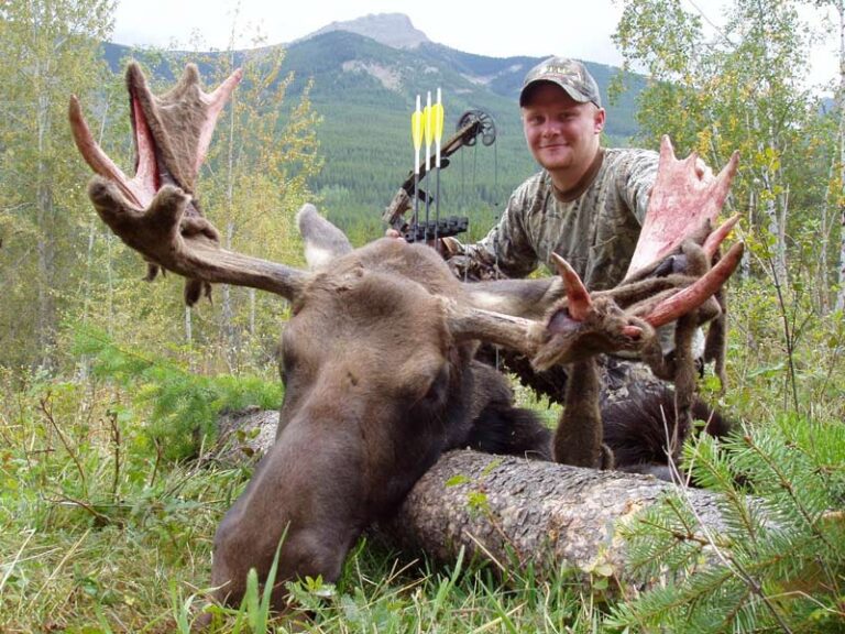 Guided-shiras-Moose-Hunt