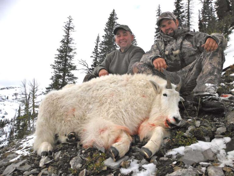 Scott-Nancy-British-Columbia-Goat