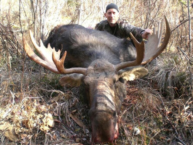 Shiras-moose-hunts-British-Columbia-02