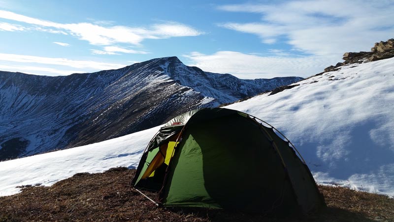 TOA-Big-horn-sheep-camp