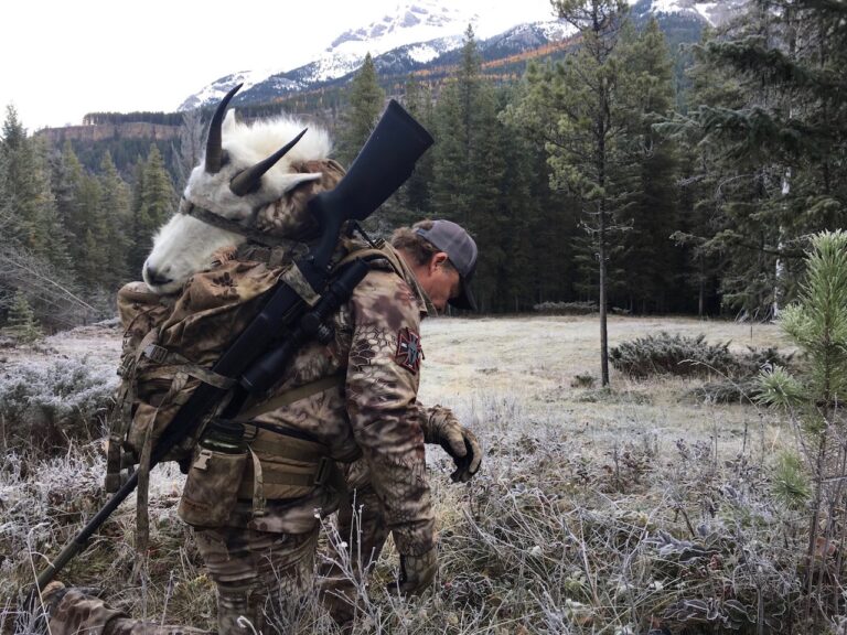 Trophy-mountain-Goat-hunt-BC-2018