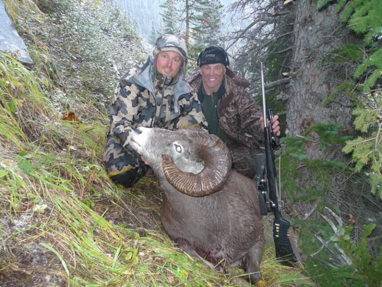 alberta-big-horn-sheep-hunt