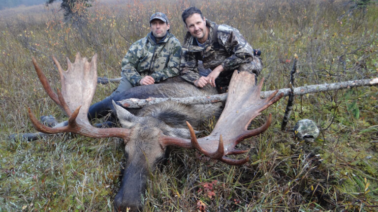 big-British-Columbia-Moose