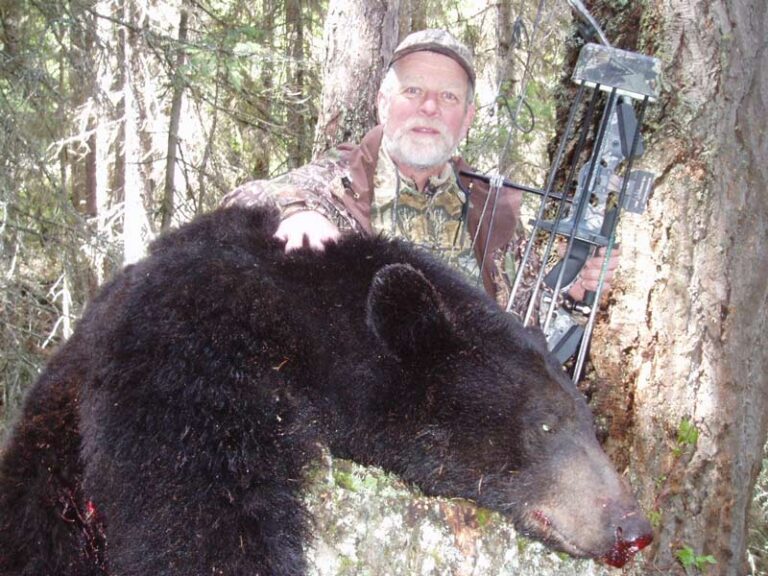 big-black-bear-with-bow