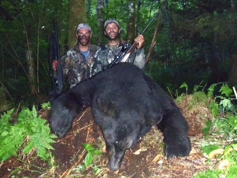 boon-and-crocket-black-bear