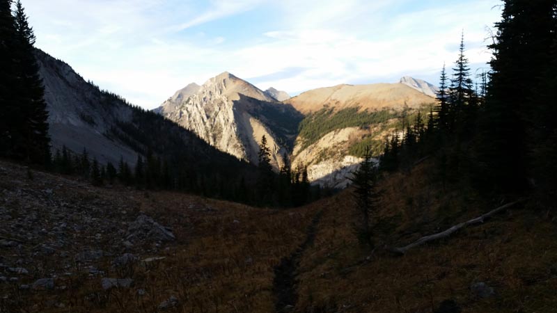 elk-hunt-in-bc-mountains