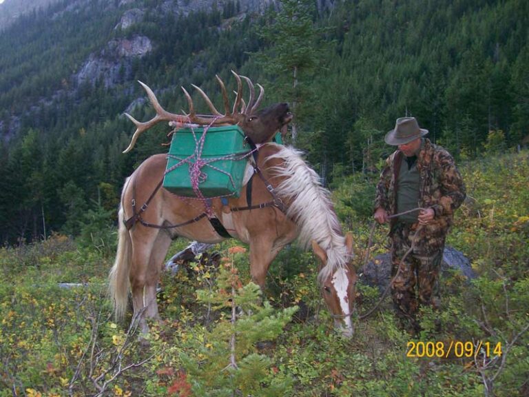 elk-hunt-on-horse-back