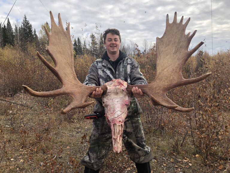 giant-2018-British-Columbia-Moose