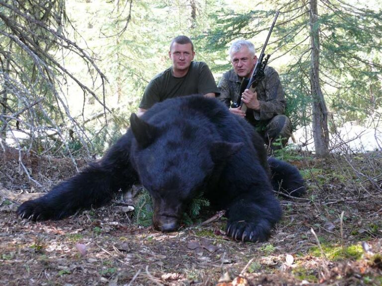guided-BC-bear-hunt