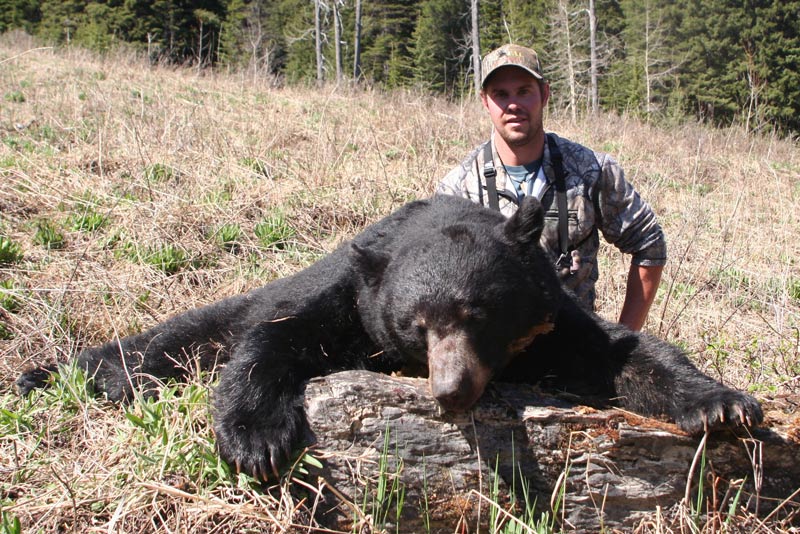 guidedblackbearhunt Total Outdoor Adventures