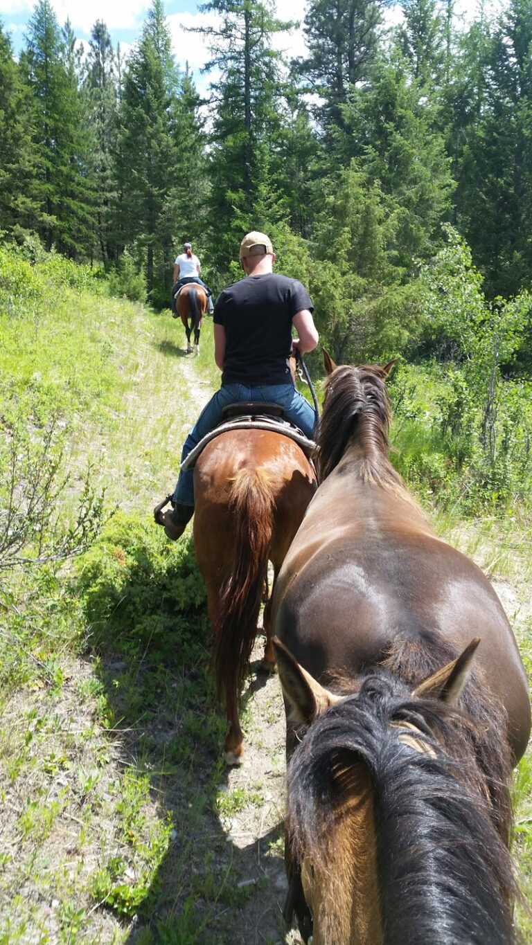 horse-back-trip-bc