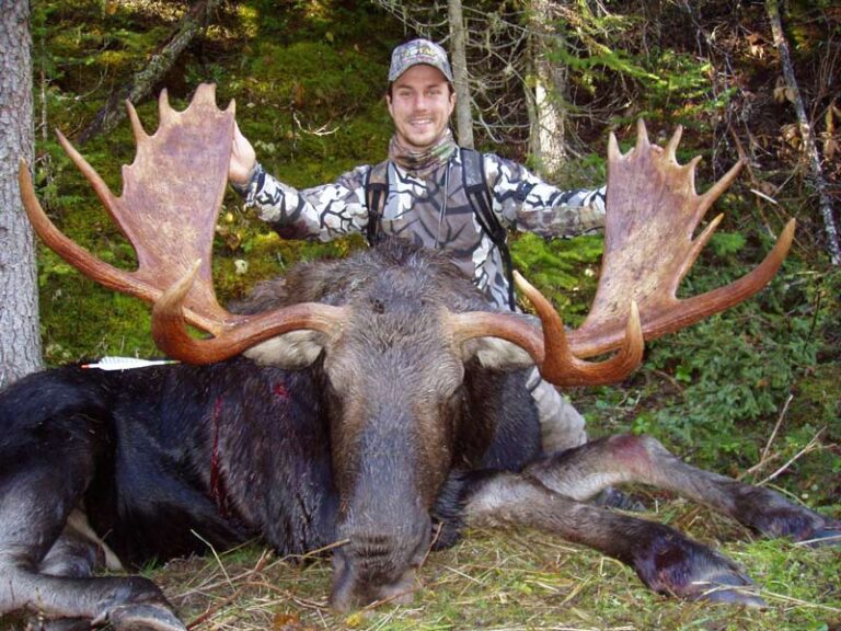 record-book-BC-Shiras-moose