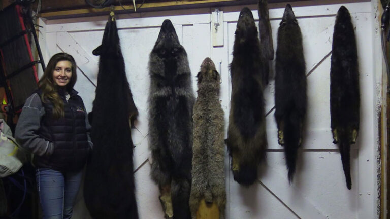 trapping-furs-in-british-columbia
