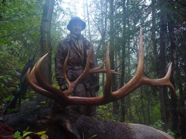 trophy-elk-British-Columbia