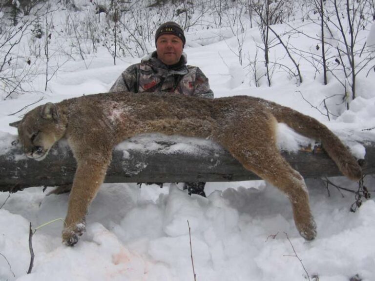 trophy-mountain-lion-hunt